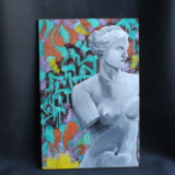 Venus of Milo Graffiti Venus of Milo Graffiti